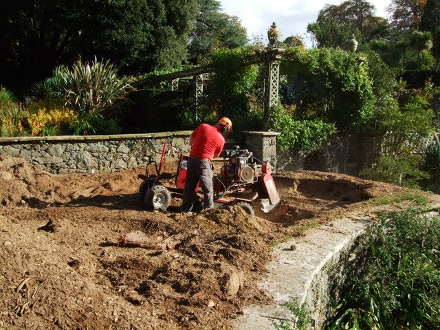 A worker in a red shirt and hard hat operating a walk-behind stump grinder inside a walled garden bed.