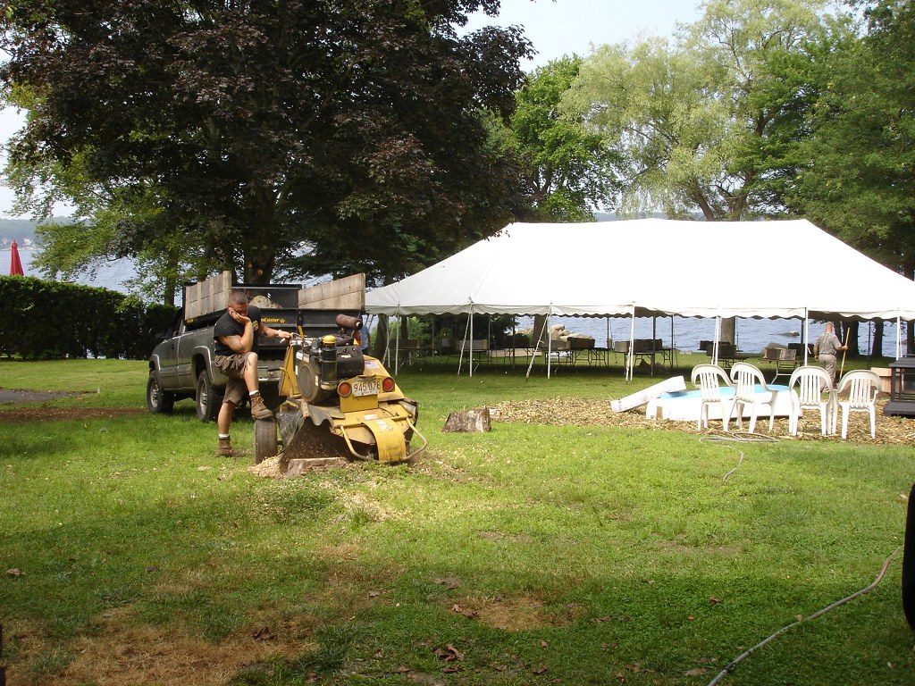 A tow-behind stump grinder working a yard stump beside a pickup truck, with a fan of pale wood chips spread across the grass.